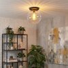 Koyoto Plafondlamp, Kogellampje 30 cm Duidelijk, 1-licht