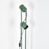 Horen Staande lamp Groen, 2-lichts
