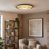 Lidor Plafondlamp LED Goud, Koperkleurig, Zwart, 1-licht, Afstandsbediening