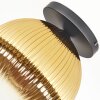 Koyoto Plafondlamp, Kogellampje 30 cm Goud, Duidelijk, 1-licht