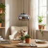 Ironel Hanglamp, Hanglamp LED Zwart, 1-licht