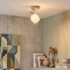 Sivol Plafondlamp, Plafondspot Nikkel mat, Zandkleurig, 1-licht