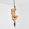 Evelis Hanglamp, Hanglamp Goud, Zwart, 1-licht