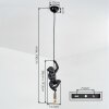 Evelis Hanglamp, Hanglamp Goud, Zwart, 1-licht