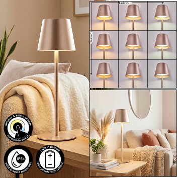 Salgadinho Buiten tafellamp, Tafellamp LED Champagne, 1-licht