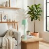 Salgadinho Buiten tafellamp, Tafellamp LED Groen, 1-licht