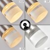 Molten Hanglamp, Hanglamp LED Nikkel mat, 1-licht