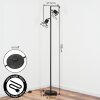 Fenik Staande lamp LED Zwart, 2-lichts