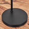 Flisa Staande lamp Zwart, 1-licht