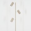 Javel Staande lamp LED Zandkleurig, 3-lichts