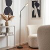 Kavin Staande lamp LED Chroom, Zwart, 1-licht