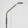 Kavin Staande lamp LED Chroom, Zwart, 1-licht
