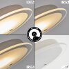 Avira Staande lamp, Leeslamp LED Zandkleurig, Wit, 1-licht