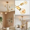 Bogno Plafondlamp Goud, 6-lichts