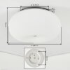 Molak Plafondlamp Nikkel mat, 2-lichts