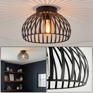 Guayo Plafondlamp Zwart, 1-licht