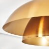 Albo Plafondlamp Zwart, 1-licht