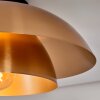 Albo Plafondlamp Zwart, 1-licht