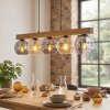 Ripoll Hanglamp, Kogellampje, Hanglamp Natuurlijke kleuren, Zwart, 5-lichts