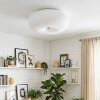 Molak Plafondlamp Nikkel mat, 2-lichts