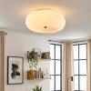 Molak Plafondlamp Nikkel mat, 2-lichts