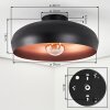 Guayo Plafondlamp Zwart, 1-licht