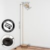 Karel Staande lamp Messing, 1-licht