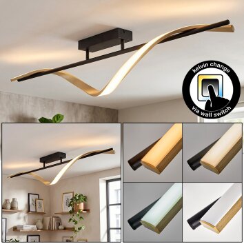 Kelon Plafondlamp LED Zwart, 1-licht