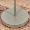 Kolin Staande lamp Zandkleurig, 1-licht