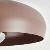 Guayo Plafondlamp Mokka, 1-licht