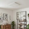Finsrud Plafondlamp, Paneel LED Wit, 1-licht