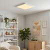 Finsrud Plafondlamp, Paneel LED Wit, 1-licht