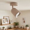 Lemak LED plafondspot zandkleurig, verstelbare opbouwspot GU10 modern