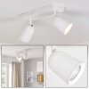 Lemak LED plafondspot 2-lichts wit, draaibare plafondlamp voor woonkamer