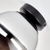 Kogellampje Gastor met bolvormige, moderne glazen kap in chroom en rookkleur, ø 20 cm