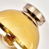 Gastor retro opbouw plafondlamp met bolvormige kap voor woonkamer en hal, E27