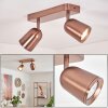 Lemak LED plafondspot koper 2-lichts, draaibare GU10 spots voor woonkamer
