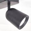 Lemak moderne verstelbare LED plafondspot, 2-lichts voor woonkamer en hal