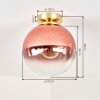 Gastor bolvormige plafondlamp rond Ø 25 cm met E27 fitting voor woonkamer