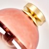 Gastor bolvormige plafondlamp rond Ø 25 cm met E27 fitting voor woonkamer