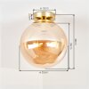 Moderne Kogel-plafondlamp Gastor met ronde amberkleurige glazen kap ø 25 cm, E27