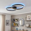 Narok LED plafondlamp met afstandsbediening, moderne dubbele ringvorm voor woonkamer