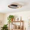 LED plafondlamp Calista met heldere ring, CCT 3000–6000 Kelvin, warm-, neutraal- en daglichtwit
