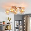 Plafondlamp met glazen bollen Gastor, cluster met 4 heldere schermen ø 15 cm