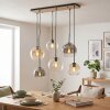 Hanglamp Koyoto, verstelbaar bij montage, cluster met 6 glazen bollen