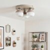 Eloria 3-lichts plafondlamp rond ø 31,5 cm met bolkappen voor woonkamer