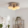 Eloria 3-lichts plafondlamp rond ø 31,5 cm met bolkappen voor woonkamer