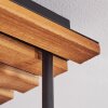 Cluster-plafondlamp Gastor met vier bollen in blauw, chroom, groen, helder en rookkleurig