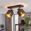 Alsen 2-lichts plafondlamp met draaibare en zwenkbare spots, honingraat lichtpatroon