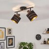 Alsen moderne 2-lichts plafondspot E14, spotlamp voor woonkamer en eetkamer
